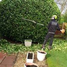 Oak Valley Tree Services