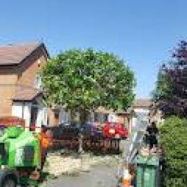 Oak Valley Tree Services